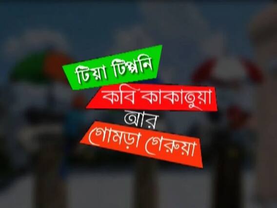 রাজ্য রাজনীতির সাতকাহন নিয়ে তিন পাখির তরজা। টিয়া-কাকাতুয়া-গোমড়া