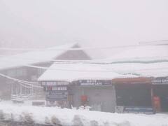 Gulmarg, Sonamarg Draped In White Blanket As J&K Receives Heavy Snowfall. In Pics