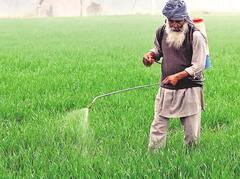 ਪੰਜਾਬ ਸਰਕਾਰ ਦਾ ਦਾਅਵਾ, ਕਿਸਾਨਾਂ ਦੇ Bank Accounts 'ਚ ਇੱਕੋ ਹੀ ਦਿਨ ਕੀਤੇ 5000 ਕਰੋੜ ਰੁਪਏ ਤੋਂ ਵੱਧ ਟਰਾਂਸਫਰ