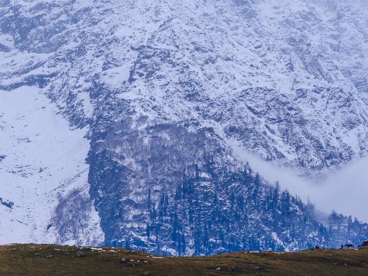 श्रीनगर समेत घाटी के मैदानी इलाकों में बारिश हुई. कई जगहों पर दोपहर तक बारिश/बर्फबारी जारी रहने की संभावना है. शाम को मौसम में थोड़ी बहुत सुधार होने की संभावना है.