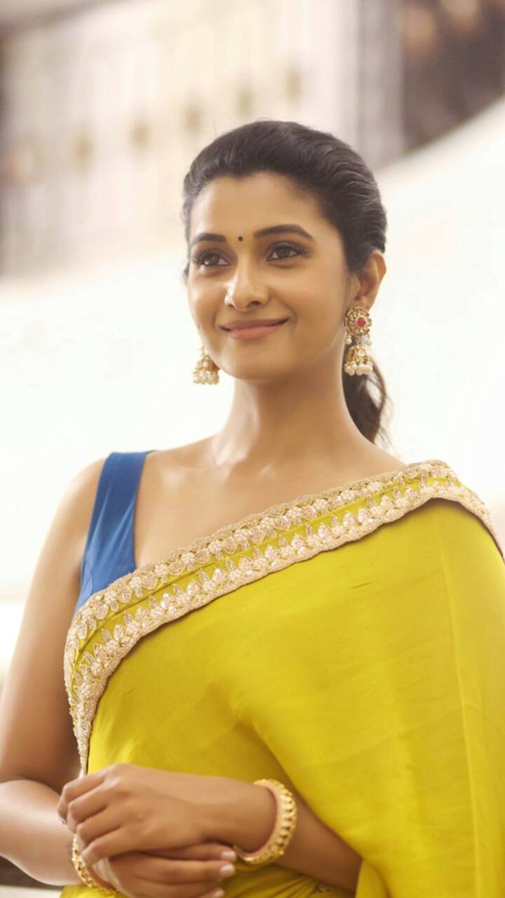 செல்லப் பூவே நான் உன்னைக் கண்டேன்