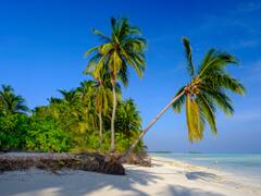 New Year 2023: 10 Amazing Places In India To Celebrate New Year's Eve