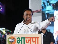 'वरळीत पोटनिवडणूक करा, मग कळेल मशाल आहे की चिलीम'; आशिष शेलारांचं ठाकरेंना आव्हान 