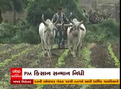 પ્રધાનમંત્રી મોદી કિસાન સન્માન નિધિ યોજનાના 13મા હપ્તાની રકમ ડિસેમ્બરમાં કરશે ટ્રાન્સફર