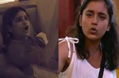 सुम्बुल-अर्चना में आई मारपीट की नौबत, ये सेलेब्स भी Bigg Boss में कर चुके हैं हाथापाई