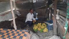 Aurangabad: नैसर्गिक पद्धतीने पिकवलेल्या 'केळी'तून लाखो रूपयांचा नफा, पहा फोटो