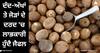 Nutmeg : ਘੱਟ ਹੀ ਚਰਚਾ 'ਚ ਆਉਂਦੇ ਅਖਰੋਟ ਦੇ ਇਹ Surprising Benefits, ਜਾਣੋ Nutmeg ਨੂੰ ਰੋਜ਼ਾਨਾ ਜ਼ਿੰਦਗੀ 'ਚ ਇਸਤੇਮਾਲ ਕਰਨ ਦੇ ਫਾਇਦੇ