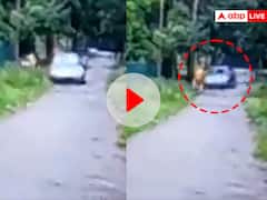 मैसूर में पूर्व IB अधिकारी की कार से रौंद कर हत्या, जांच में जुटी पुलिस