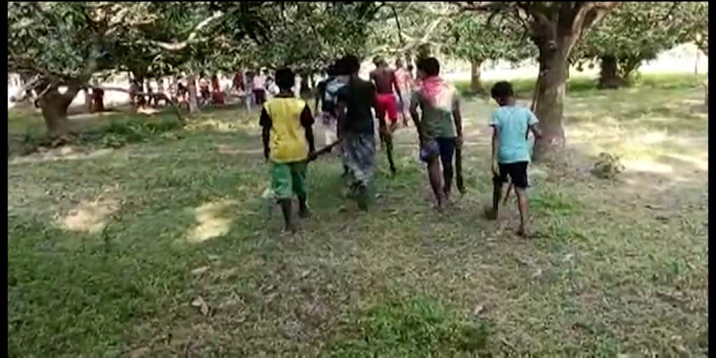 North 24 Parganas Deganga locals allegedly killed a fox by beating up