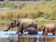 17th wildlife sanctuary: தமிழகத்தில் அமைகிறது 17வது வனவிலங்கு சரணாலயம்! எங்கே, எப்போது? முழு விவரம்..