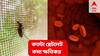 Platelet : প্লেটলেটের আকাল ফের শহরে, প্লেটলেট সংক্রান্ত এই তথ্যগুলি না জানলে বিপদ বাড়বে