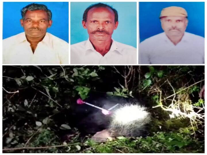 Tenkasi : A bear that attacked three people died after being caught with an anesthetic injection TNN தென்காசியில் 3 பேரை தாக்கிய கரடி உயிரிழப்பு  - இறப்புக்கு காரணம் என்ன..?