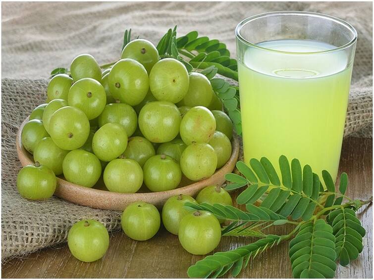 The Indian gooseberry is just the magic pill you need to boost your overall health. Indian gooseberry : நெல்லிக்காய் உண்பதால் உடலுக்கு கிடைக்கும் நன்மைகள் என்ன? லிஸ்ட் இதோ!