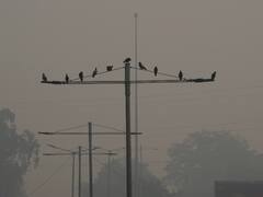 बिहार का ये शहर देश में सबसे ज्यादा प्रदूषित, दिल्ली दूसरे नंबर पर- CPCB का आंकड़ा