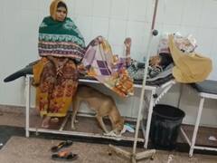 बांदा जिला अस्पताल में मरीजों की जगह पर आवारा कुत्तों का कब्जा, ट्रामा सेंटर को बनाया आशियाना