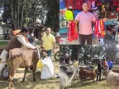 In Pics: कोरिया में दुर्घटनाओं से बचाने के लिए गौवंशों के गले में लगाए जा रहे रेडियम पट्टी, देखें तस्वीरें