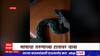 Nagpur Snake :  हातात साप घेऊन तरुण रुग्णालयात, सापाच्या तरुणाच्या हातावर चावा