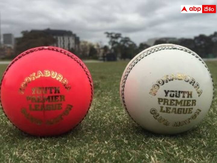 Cricket Ball Weight, Price, Balls used in Match All You Need To Know Cricket Ball: క్రికెట్‌లో వాడేసిన బంతులను ఏం చేస్తారు?