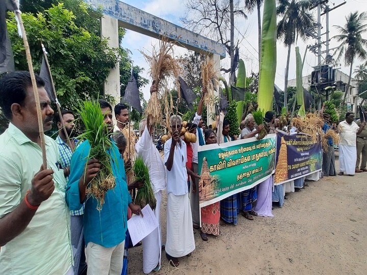 திருவையாறில் வாழை, நெல் மணிகளுடன் விவசாயிகள் நூதன ஆர்ப்பாட்டம்