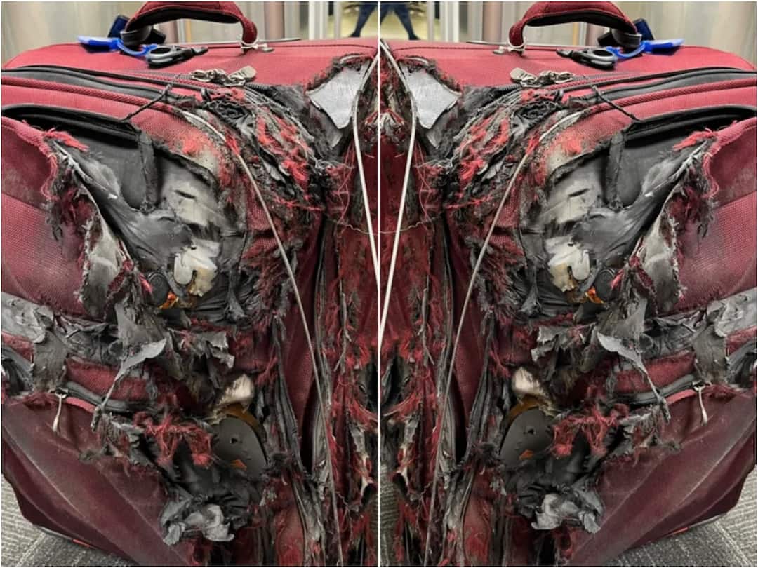 Viral News Air passenger receives luggage in Terrible condition after flight, Internet reacts with sarcasm Viral News: ఇంత నిర్లక్ష్యమా? ఎయిర్‌పోర్ట్‌లో లగేజ్ బ్యాగ్ పరిస్థితి ఇదీ!