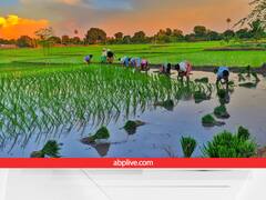 इस मार्केट से जैविक खेती का हब बनेगी संगम नगरी, देशभर में होगी फल-सब्जियों की सप्लाई