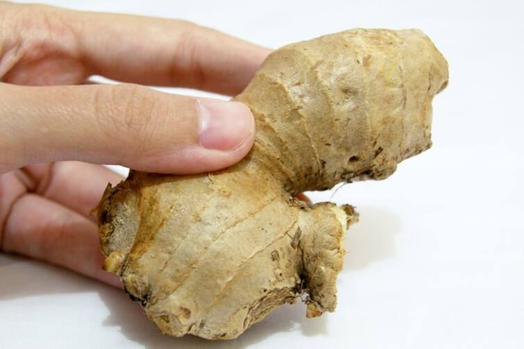 Skin Care Tips For Men: Young To keep your skin tight and young, follow this recipe of ginger Skin Care Tips For Men : ਨੌਜਵਾਨ ਆਪਣੀ ਸਕਿਨ ਨੂੰ ਟਾਈਟ ਤੇ ਜਵਾਨ ਰੱਖਣ ਲਈ ਅਪਣਾਓ ਅਦਰਕ ਦਾ ਇਹ ਨੁਸਖਾ