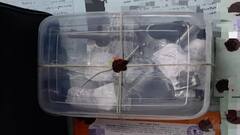 পিস্তল, শটারসহ একাধিক আগ্নেয়াস্ত্র! চলন্ত ট্রেন থেকে অস্ত্র সমেত ধৃত এক ব্যক্তি