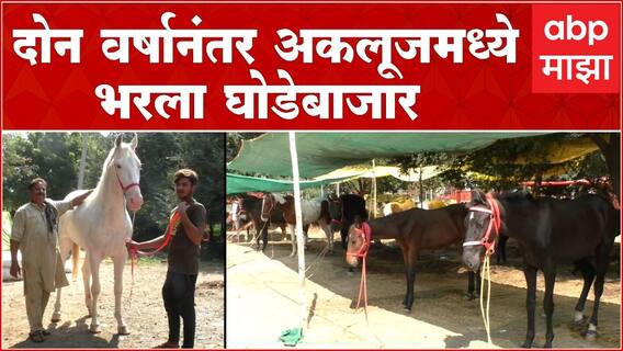 Pandharpur Akluj Ghodebajar : अकलूज कोरोनानंतर दोन वर्षांनी भरला घोडेबाजार