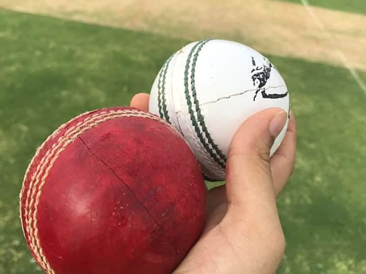 Cricket Ball in International Match know which ball is used in t20 cricket and price of it जिस गेंद से क्रिकेट खेलते हैं इंटरनेशनल खिलाड़ी, वो कितने रुपये की आती है?