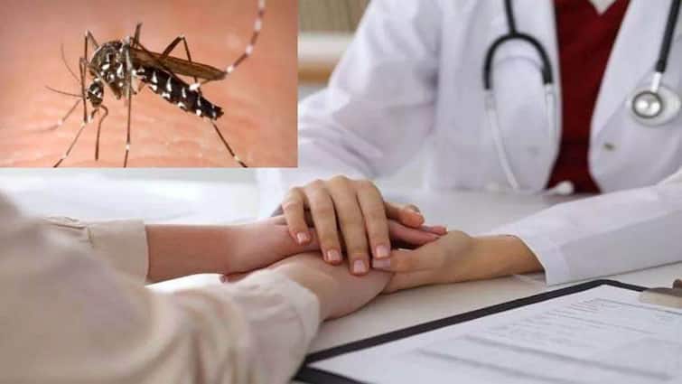Dengue West Bengal amid severe dengue chikengunia cases on the rise Dengue : ভয়ানক ডেঙ্গি পরিস্থিতির মধ্যেই বাড়ছে চিকুনগুনিয়ার প্রকোপ
