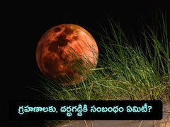 చంద్ర గ్రహణం రోజున ఆహార పదార్థాలపై దర్భ గడ్డిని ఎందుకు పెడతారు?