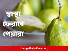 মরসুম বদলে সুস্থ থাকার উপায়? ডায়েটে চাই পেয়ারা