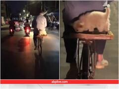 पालतू डॉगी के लिए साइकिल पर बनाया खास प्लेटफॉर्म, मस्ती करते नजर आया कुत्ता 