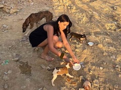 पेट लवर हैं तारा सुतारिया, राजस्थान की गलियों में भूखे-प्यासे जानवरों पर प्यार लुटाती दिखीं एक्ट्रेस