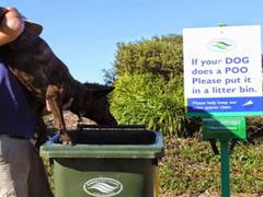 Twitter Thread Showing Pics Of People Taking Instructions Too Literally Guarantees A Good Laugh 