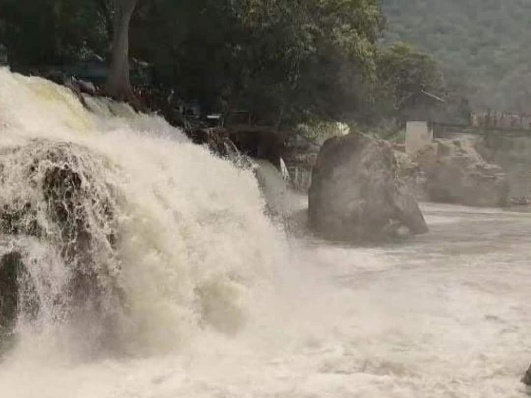 தருமபுரி: கனமழையால் காவிரியில் வினாடிக்கு 18,000 கனஅடியாக நீர்வரத்து உயர்வு Cauery Dam water flow increases to 18,000 cubic feet due to heavy rain TNN தருமபுரி: கனமழையால் காவிரியில் வினாடிக்கு 18,000 கனஅடியாக நீர்வரத்து உயர்வு