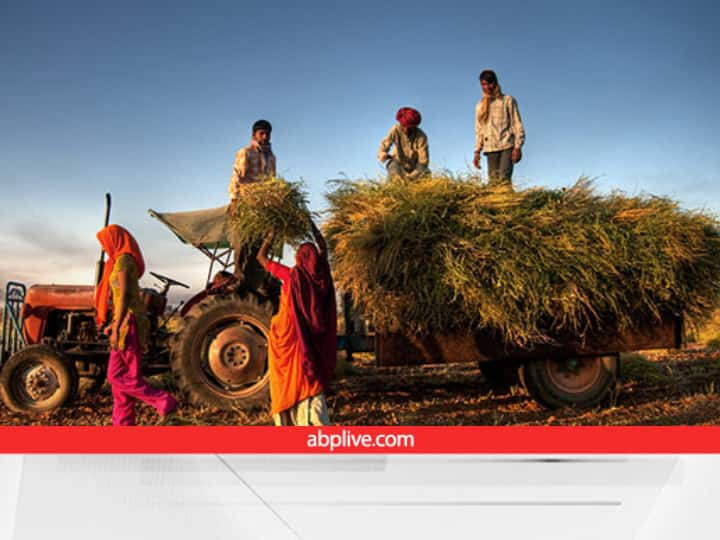 UP Deoria administration Purchase Stubble parali to control pollution became farmers new income Source Stubble Management: हरियाणा के बाद...अब ये राज्य भी किसानों से खरीदेगा पराली, यहां जानें प्रति टन के दाम और सरकार का प्लान