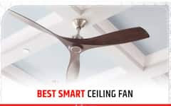 বিদ্যুৎ বাঁচাতে ১ বা ২-এ ফ্যান চালান ! আদৌ কাজ হয় এতে ?