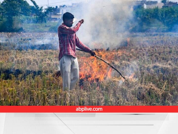 Stubble burning Cases in Punjab may increase in next 15 days due to ongoing paddy Harvesting Stubble Burning: अभी मुसीबत टली नहीं....पंजाब में बाकी है 10% धान की कटाई, इतने दिनों की और है दिक्कत, रहें सावधान
