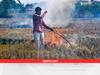 Stubble Burning: पंजाब में अंधाधुंध जल रही पराली, यह क्षेत्र बना हॉटस्पॉट, अलर्ट मोड पर सरकार
