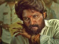 आखिर क्या है सुपरहिट फिल्म Pushpa और Avatar 2 के बीच का कनेक्शन ? | Khabar Filmi Hai