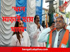 'বিজেপি, সিপিএম, কংগ্রেস ধান মাড়াই হয়ে যাবে', সায়ন্তিকাকে পাশে নিয়ে তৃণমূল বিধায়কের হুমকি