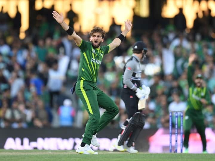 PAK vs NZ Semifinal: Every Time Shaheen Afridi Has Taken A Wicket In this T20 World Cup Pakistan have Won PAK vs NZ: न्यूज़ीलैंड के खिलाफ पाकिस्तान की जीत पक्की! शाहीन अफरीदी के इस आंकड़े ने इस विश्व कप किया है कमाल
