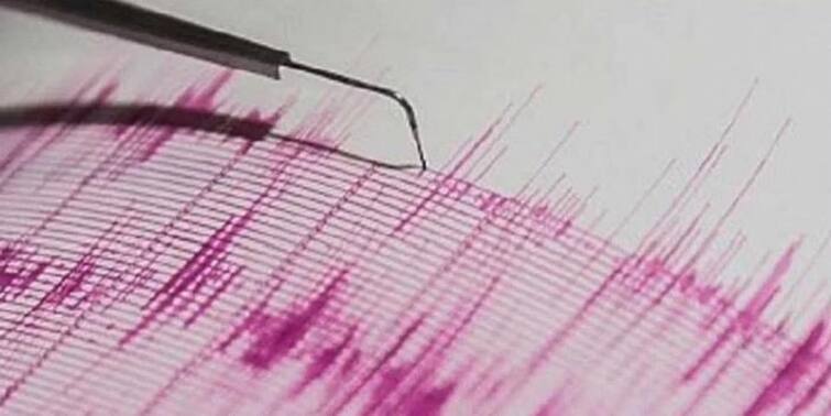 Earthquake in Palghar Updates 3.6 Reister scale shocks citizens panic Maharashtra Marathi News Earthquake in Palghar : भूकंपाच्या धक्क्यांनी पालघर हादरलं; 3.6 रिश्टर स्केलचे धक्के, नागरिक भयभीत