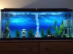 Vastu Tips: મા લક્ષ્મીને ખુશ કરવા માટે અપનાવો આ ખાસ વાસ્તુ ટિપ્સ, ખૂલી જશે પ્રગતિના દ્વાર