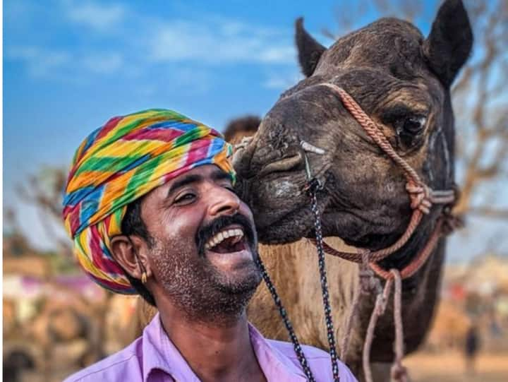 यहां विश्व विख्यात पद्मश्री कालबेलिया नृत्यांगना गुलाबो सपेरा ने भी अपनी तीन पीढ़ियों के साथ शानदार नृत्य प्रस्तुतियां दी.