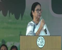 Mamata Banerjee : ‘বিজেপি কী ভাবে মিথ্যে বলে লোকসভা, বিধানসভায় আসন পেল?’