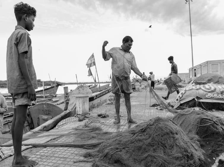 cuddalore: Fisheries department warns fishermen to not to go sea TNN மறு அறிவிப்பு வரும் வரை மீனவர்கள் கடலுக்குச் செல்ல வேண்டாம் - மீன்வளத்துறை எச்சரிக்கை