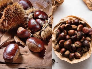 chestnut: எடை குறைப்பு முதல் தைராய்டைப் போக்குவது வரை...செஸ்ட்நட் எனப்படும் கஷ்கொட்டையின் பலன்கள்!