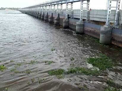 Udumalaipet Amaravati river has low water flow TNN உடுமலைப்பேட்டை அமராவதி ஆற்றில் தண்ணீர் வரத்து குறைவு